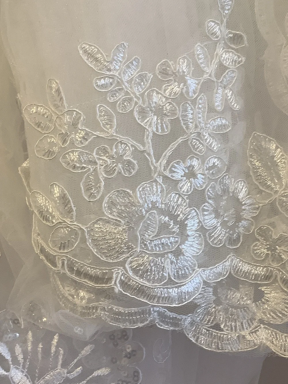 Elegant Lace-Trim Cathedral Wedding Veil in White